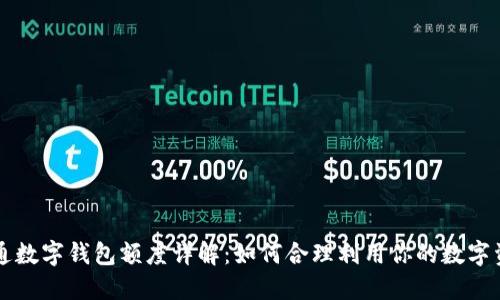 开通数字钱包额度详解：如何合理利用你的数字资产