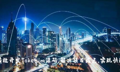 如何有效开发Tokenim源码，解决项目痛点，实现快速上线