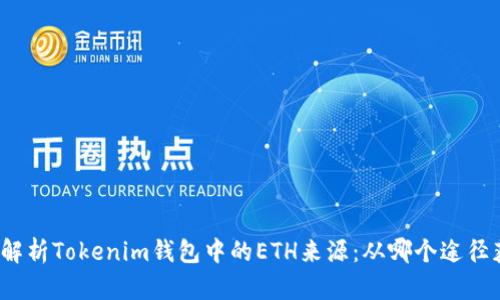 如何解析Tokenim钱包中的ETH来源：从哪个途径获取？