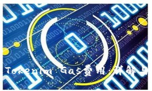如何计算Tokenim Gas费用：详解与实用指南
