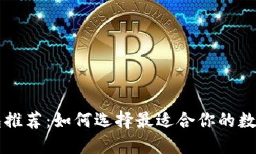 国内虚拟币钱包推荐：如何选择最适合你的数字资产管理工具