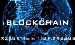 如何高效运用Tokenim 1.0版本，你的区块链项目