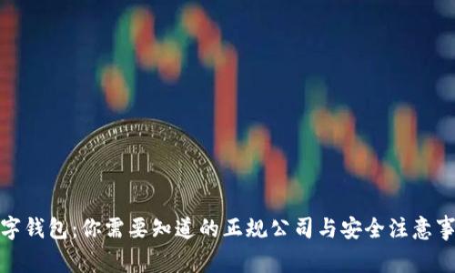 数字钱包：你需要知道的正规公司与安全注意事项