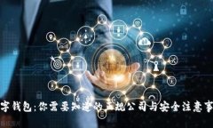 数字钱包：你需要知道的正规公司与安全注意事