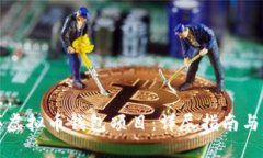 如何购买虚拟币钱包项目：详尽指南与关键要点