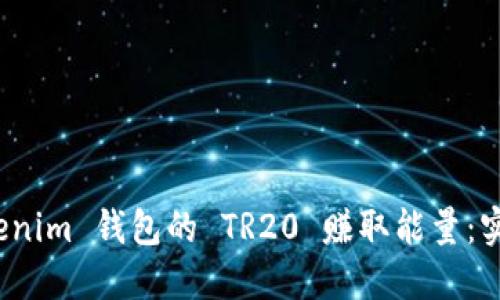 如何通过 Tokenim 钱包的 TR20 赚取能量：实用技巧与策略