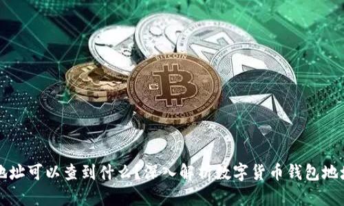有钱包地址可以查到什么？深入解析数字货币钱包地址的秘密