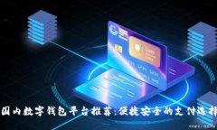 国内数字钱包平台推荐：便捷安全的支付选择