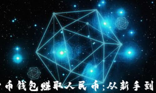 
如何通过虚拟货币钱包赚取人民币：从新手到高手的完整指南