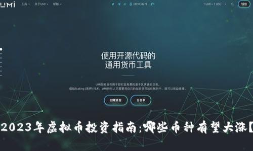 2023年虚拟币投资指南：哪些币种有望大涨？