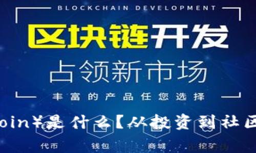 狗狗币（Dogecoin）是什么？从投资到社区文化的全解析