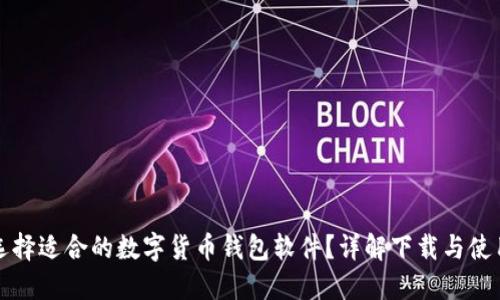 如何选择适合的数字货币钱包软件？详解下载与使用指南