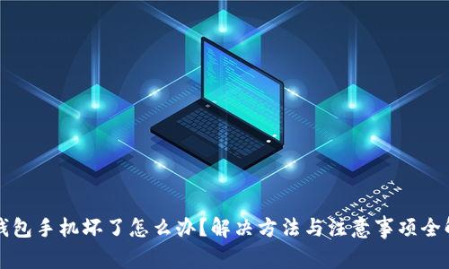 冷钱包手机坏了怎么办？解决方法与注意事项全解析