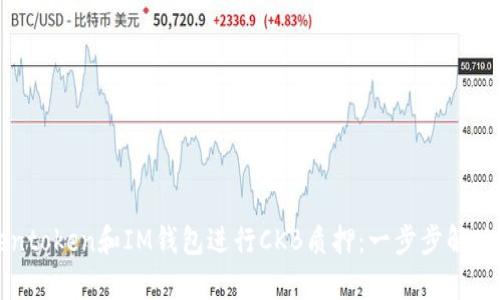 如何利用Tokentoken和IM钱包进行CKB质押：一步步解决您的收益痛点