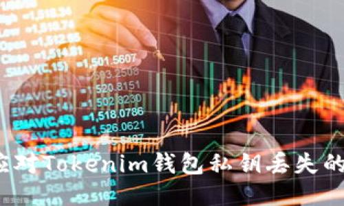 如何应对Tokenim钱包私钥丢失的困扰？