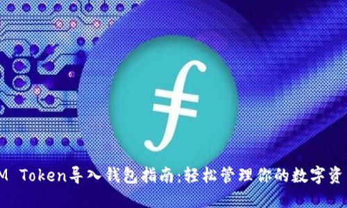 IM Token导入钱包指南：轻松管理你的数字资产