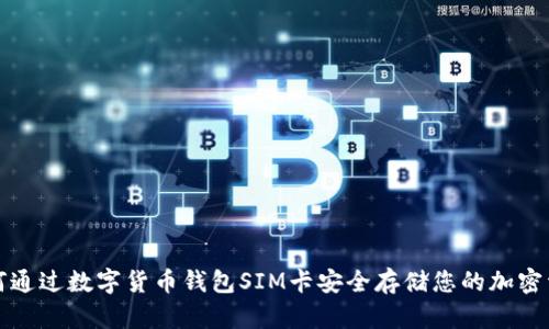 如何通过数字货币钱包SIM卡安全存储您的加密资产