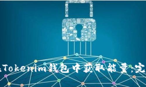 如何在Tokenim钱包中获取能量：完整指南