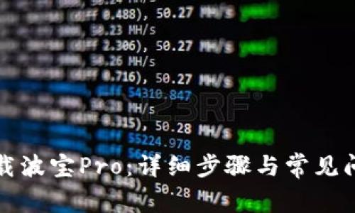 如何下载波宝Pro：详细步骤与常见问题解答