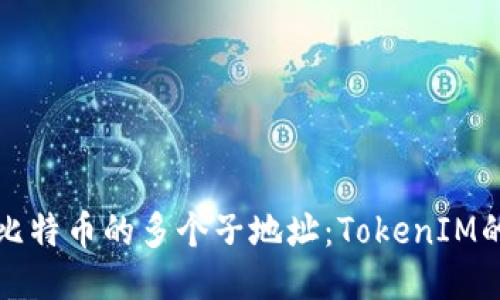 如何管理比特币的多个子地址：TokenIM的使用指南