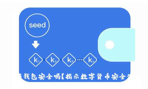 区块链视频钱包安全吗？揭示数字货币安全使用的关键