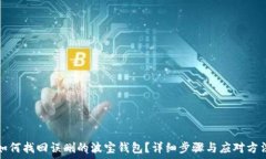   如何找回误删的波宝钱包？详细步骤与应对方法