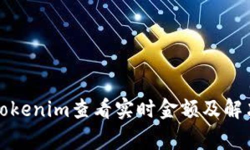 如何使用Tokenim查看实时金额及解决常见问题