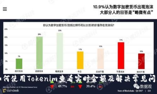 如何使用Tokenim查看实时金额及解决常见问题