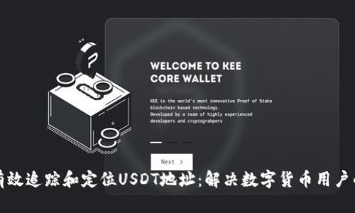 如何有效追踪和定位USDT地址：解决数字货币用户的痛点