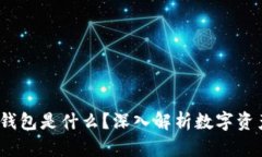 Tokentokenim钱包是什么？深入解析数字资产管理的