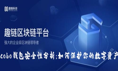 cobo钱包安全性分析：如何保护你的数字资产