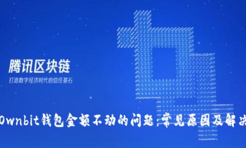 解决Ownbit钱包金额不动的问题：常见原因及解决方案