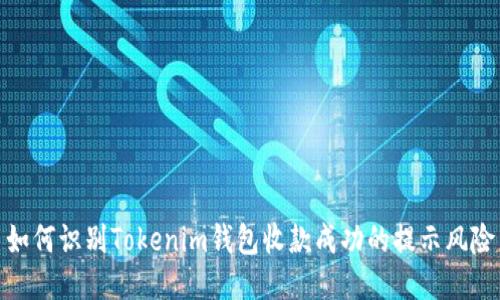 如何识别Tokenim钱包收款成功的提示风险