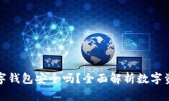 加密数字钱包安全吗？全面解析数字资产保护