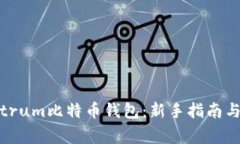 如何使用Electrum比特币钱包：新手指南与常见问题