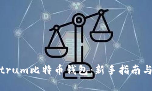 如何使用Electrum比特币钱包：新手指南与常见问题解答