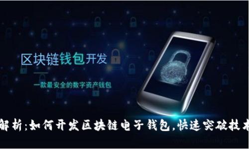 详细解析：如何开发区块链电子钱包，快速突破技术壁垒
