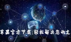 TOPAY苹果官方下载：轻松解决您的支付难题