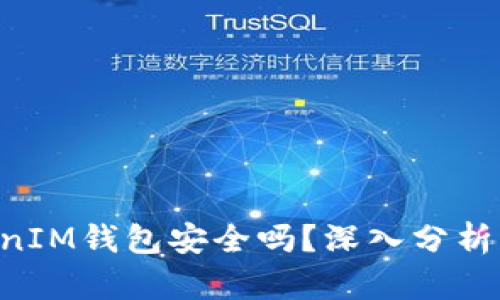 TokenTokenIM钱包安全吗？深入分析与用户指南