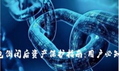 Tokenim钱包倒闭后资产保护指南：用户必知的应对