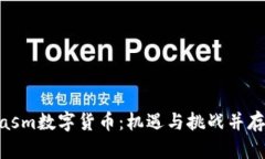 深入解析Plasm数字货币：机遇与挑战并存的未来科