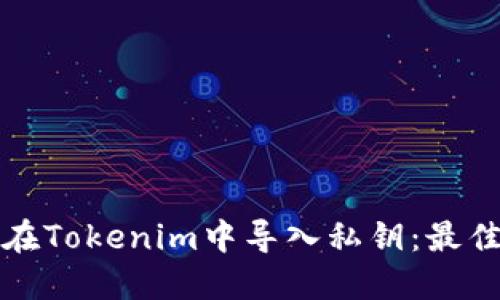 如何在Tokenim中导入私钥：最佳指南