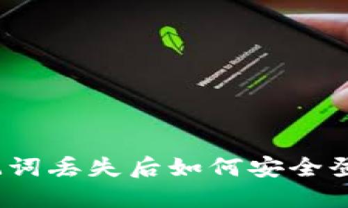 Tokenim助记词丢失后如何安全登录：完整指南