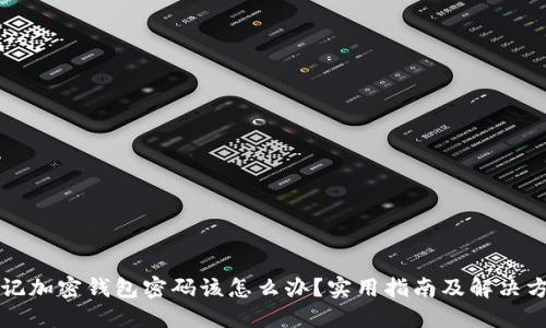 忘记加密钱包密码该怎么办？实用指南及解决方案