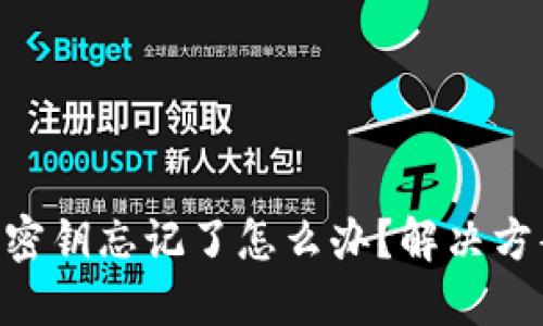 Tokenim密钥忘记了怎么办？解决方案大揭秘