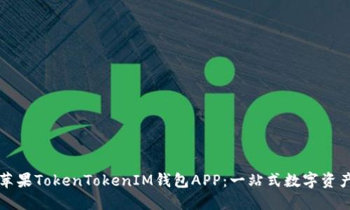 如何使用苹果TokenTokenIM钱包APP：一站式数字资产管理指南