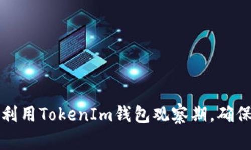 如何有效地利用TokenIm钱包观察期，确保安全与收益