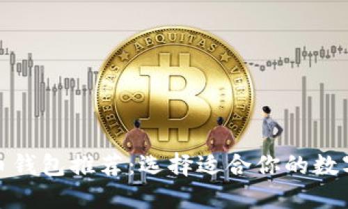 最安全的虚拟币钱包推荐：选择适合你的数字资产管理工具