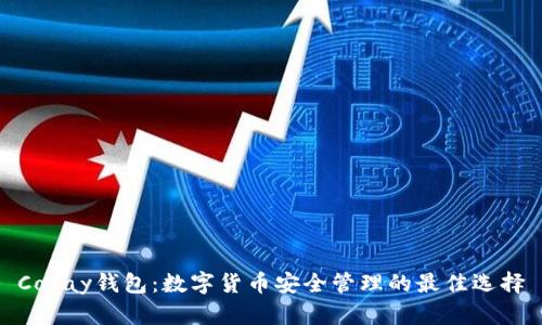 Copay钱包：数字货币安全管理的最佳选择