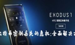 如何有效应对比特币密钥丢失的危机：全面解决